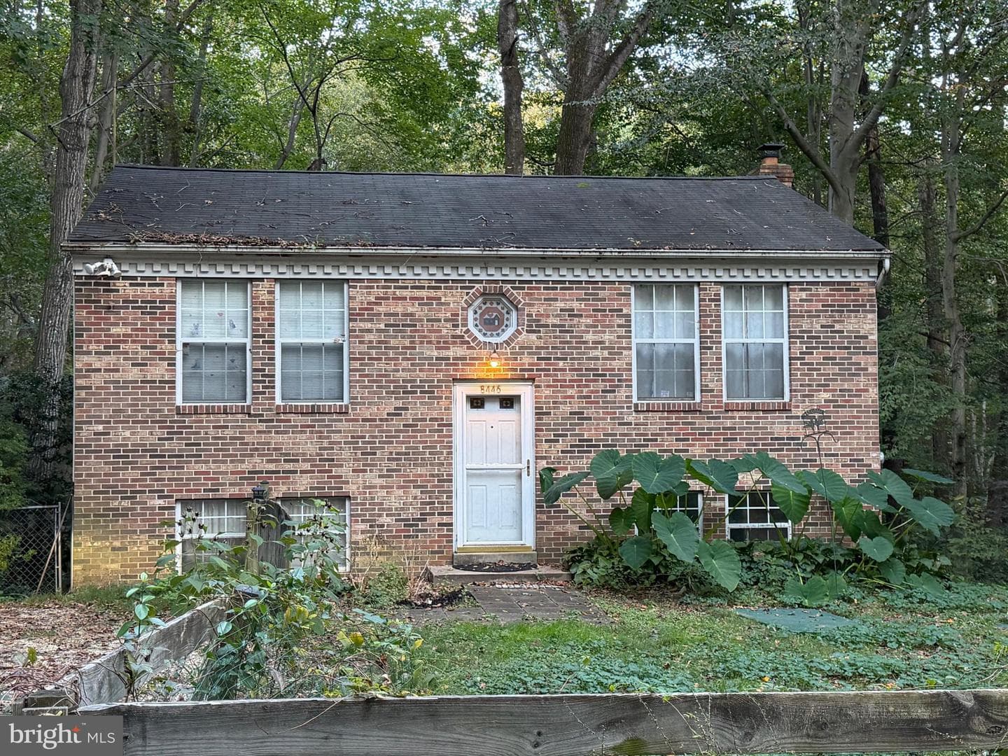 8446 Pine Boulevard photo 2