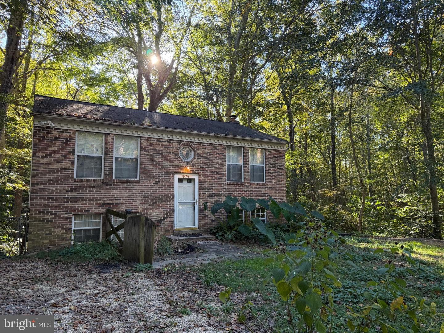 8446 Pine Boulevard photo 21