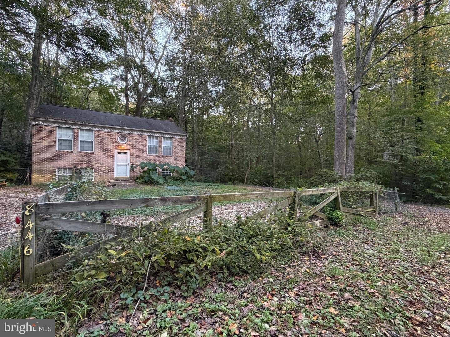 8446 Pine Boulevard photo 3
