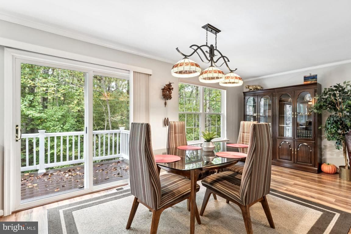 7440 Quaking Drive photo 5