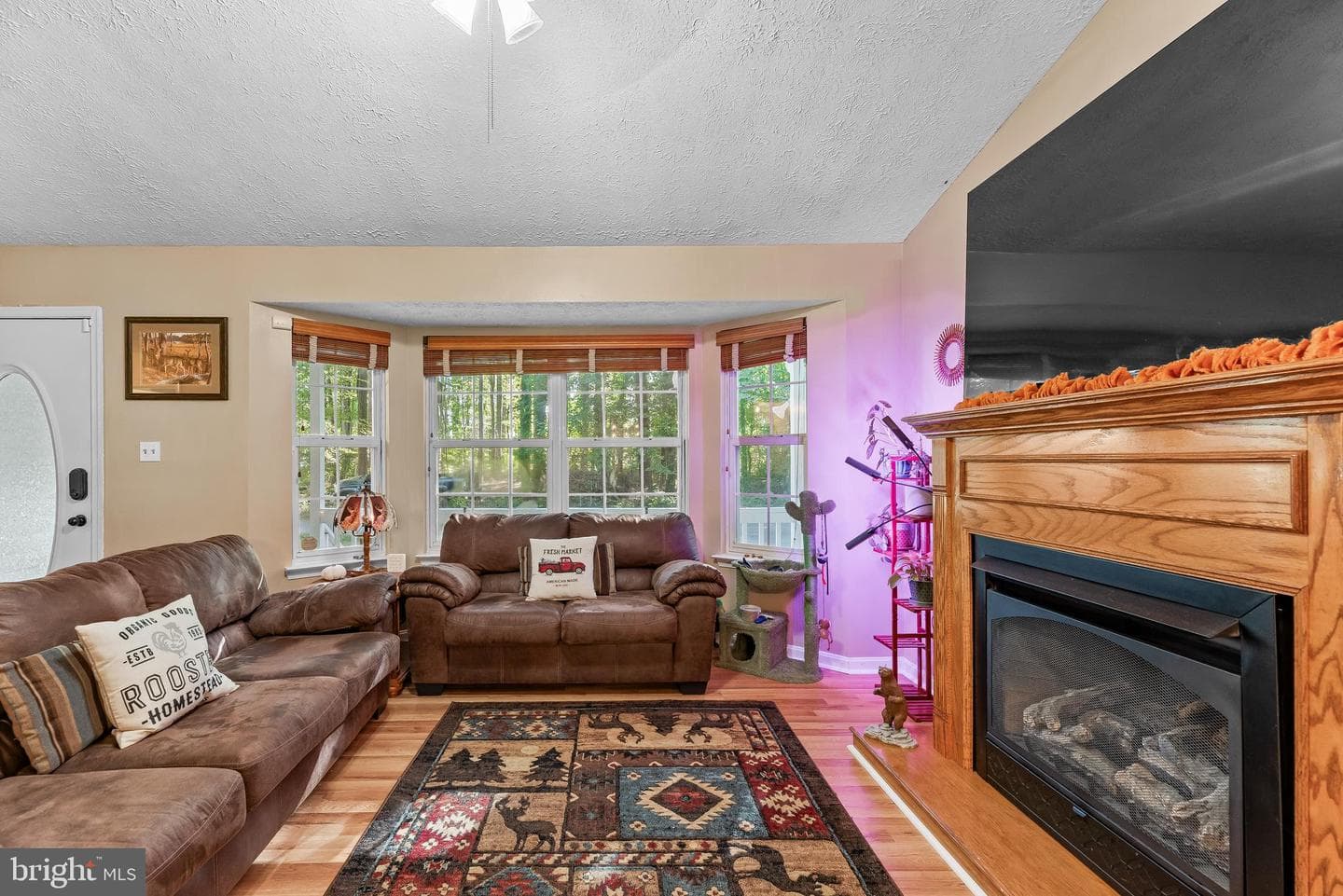 12115 Tall Pine Trail photo 10