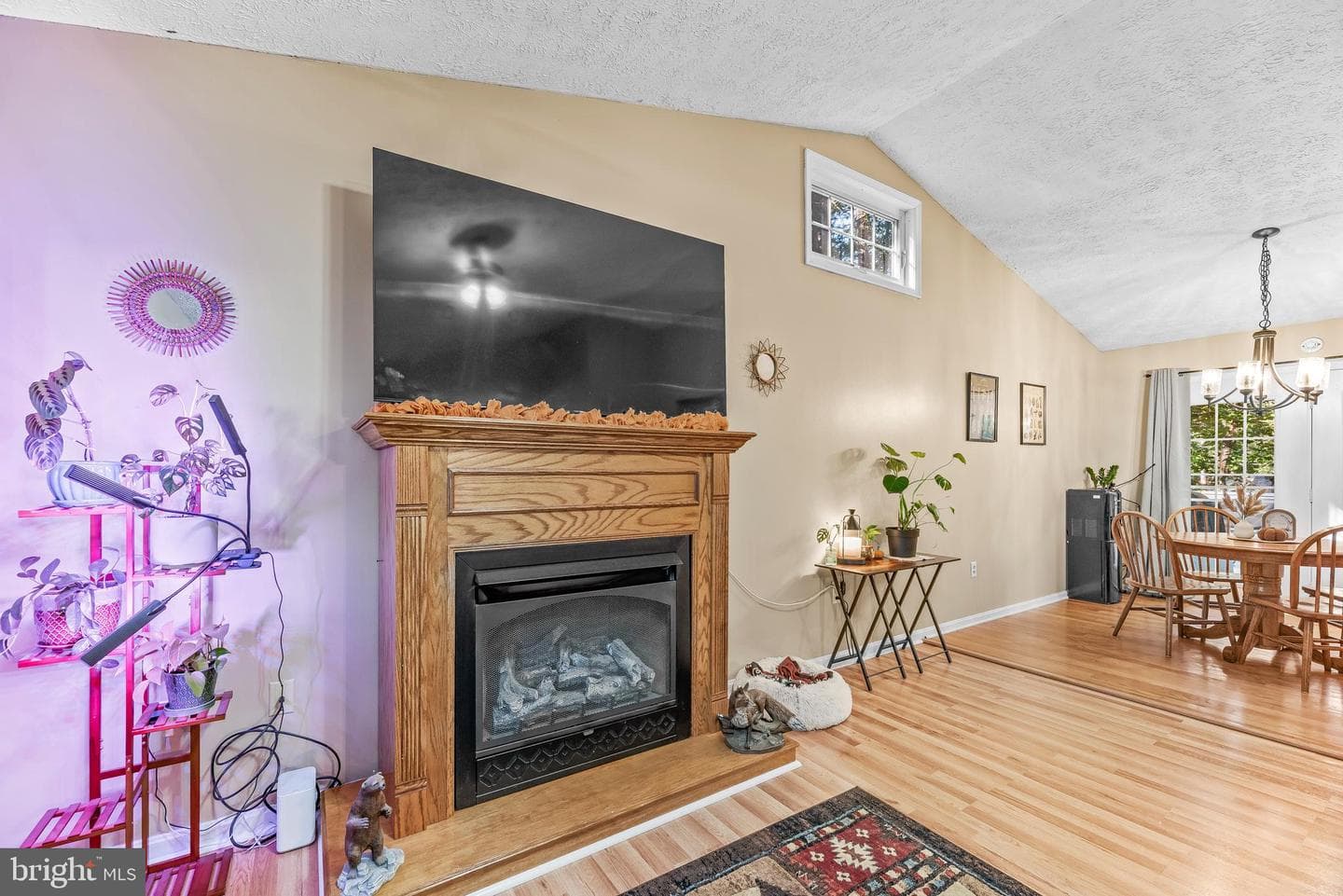 12115 Tall Pine Trail photo 12