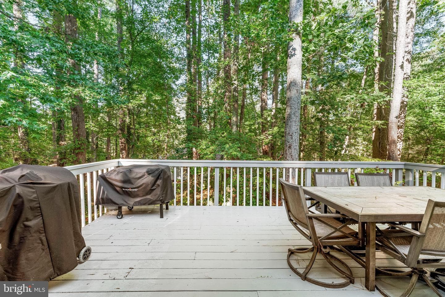 12115 Tall Pine Trail photo 3