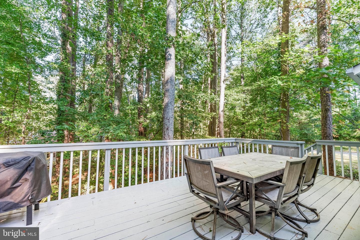 12115 Tall Pine Trail photo 33