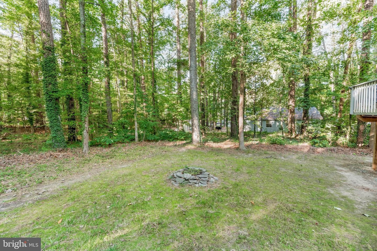 12115 Tall Pine Trail photo 34