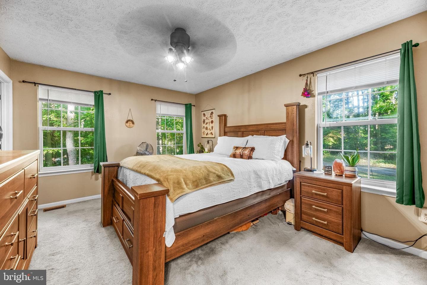 12115 Tall Pine Trail photo 4