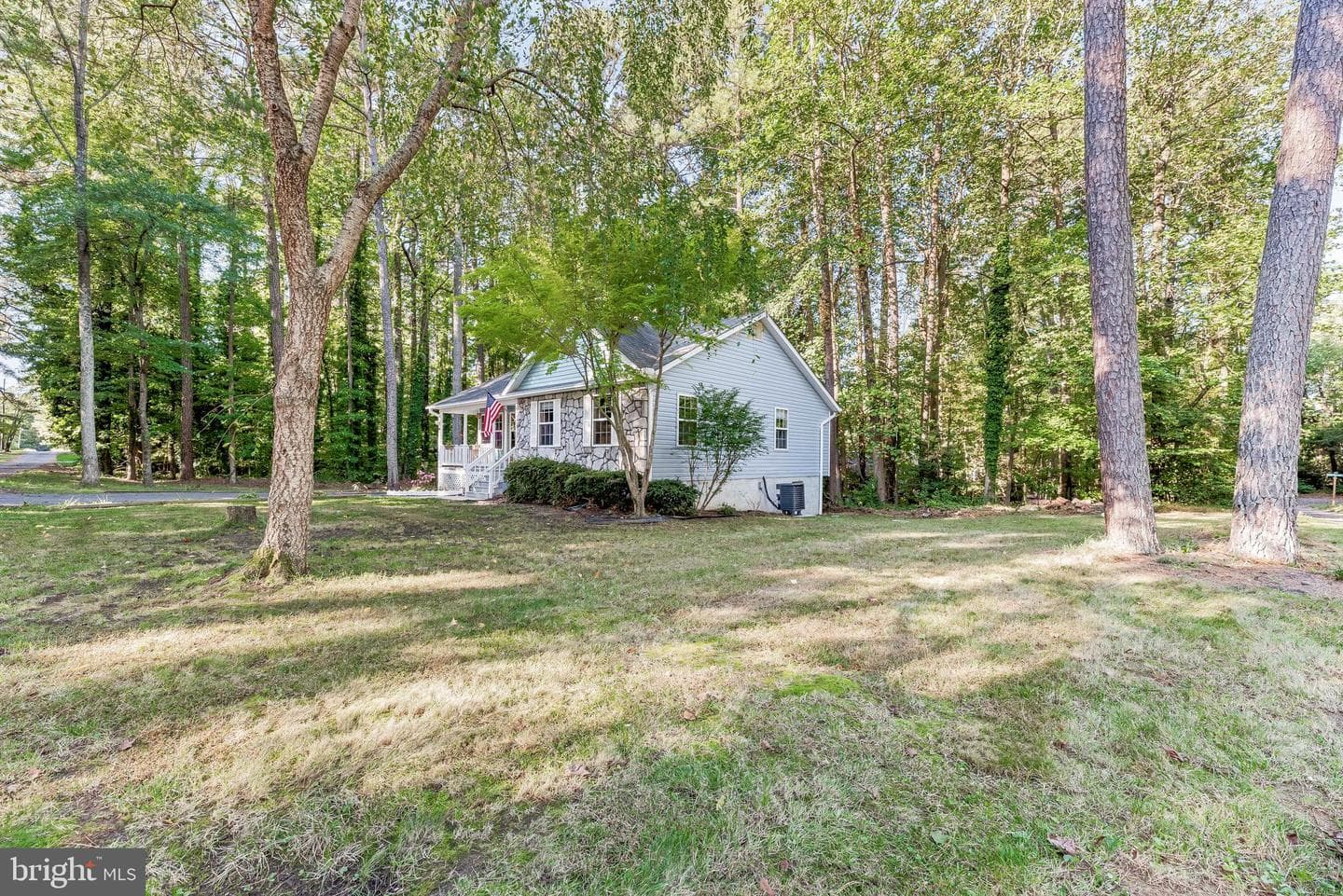 12115 Tall Pine Trail photo 5