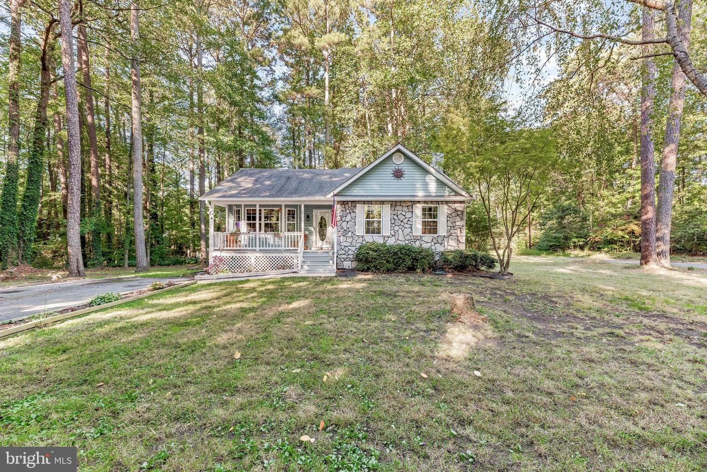 12115 Tall Pine Trail photo 6