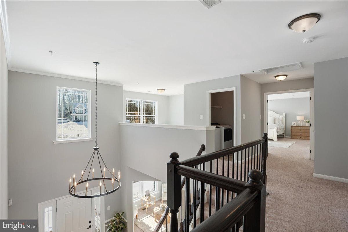 3215 Pageway Court photo 47