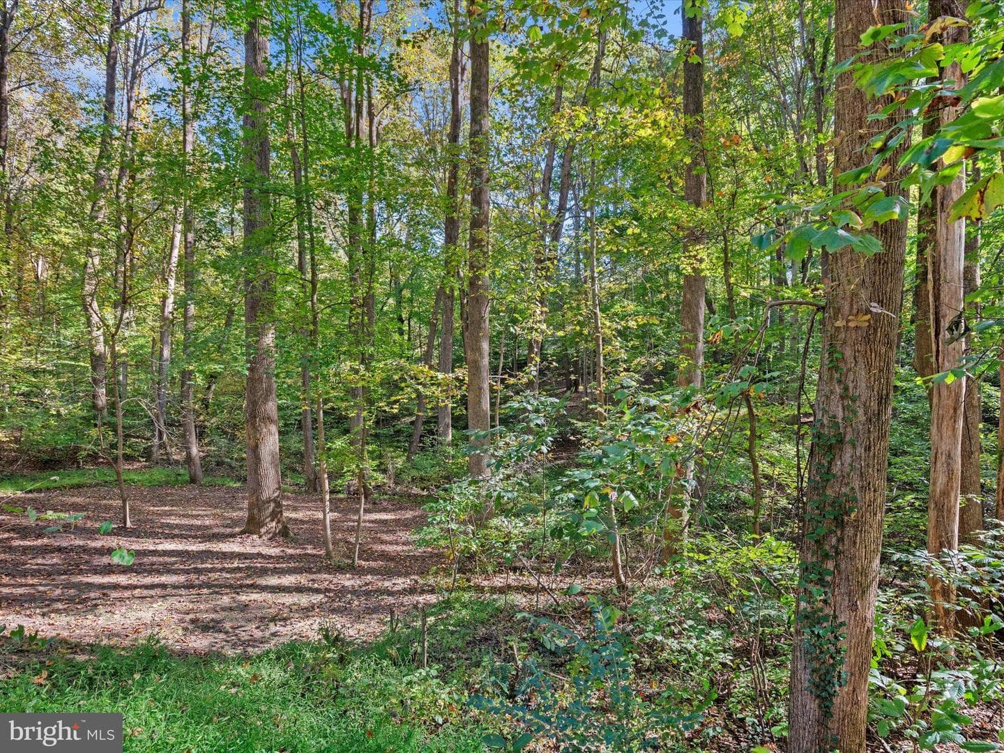 3671 Dory Brooks Road photo 35