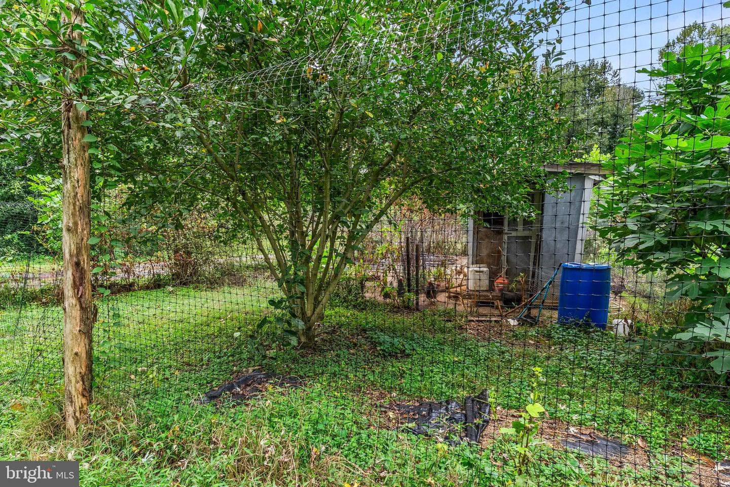 641 Walton Road photo 29