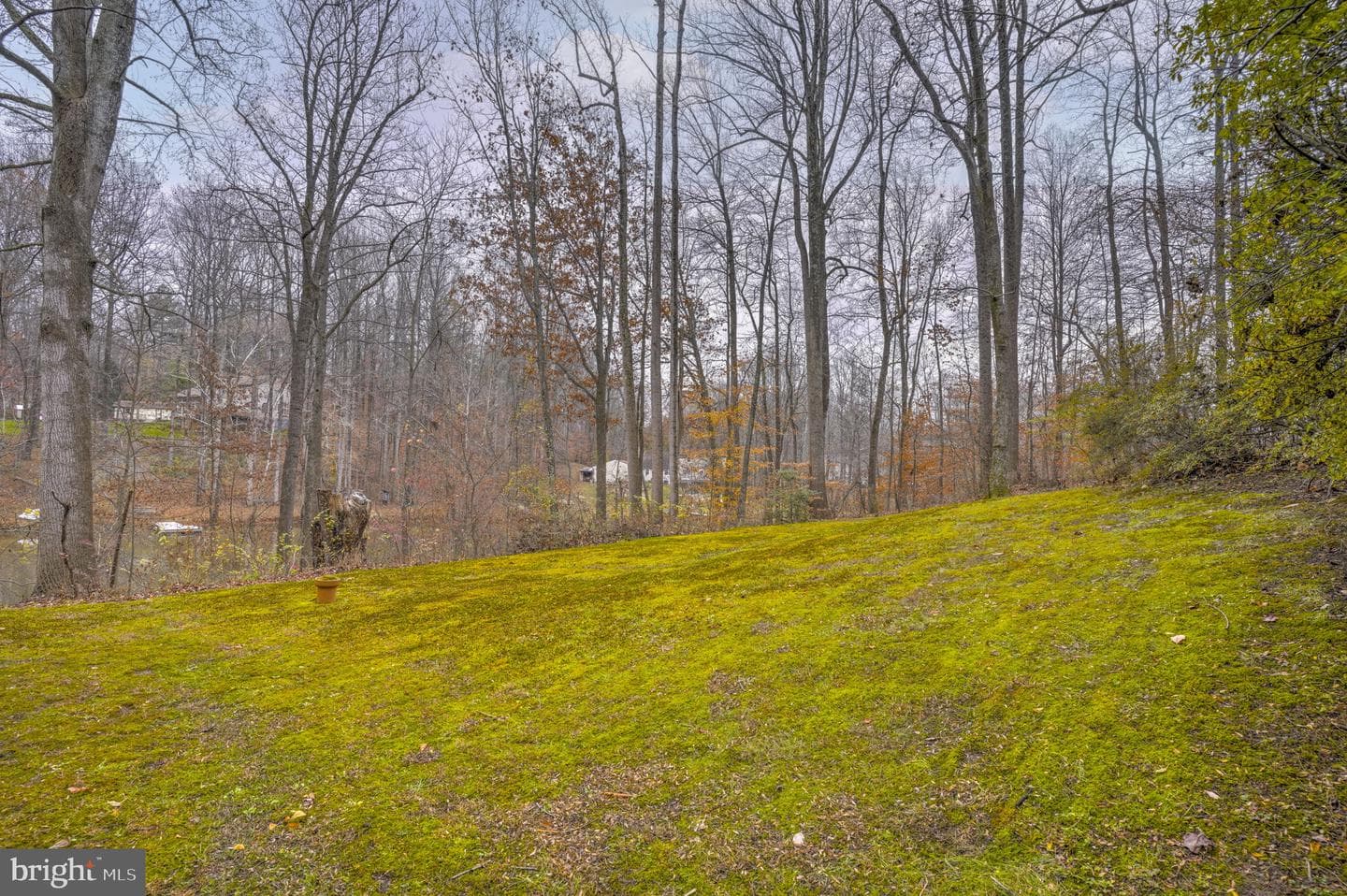 520 E Chesapeake Beach Road photo 59