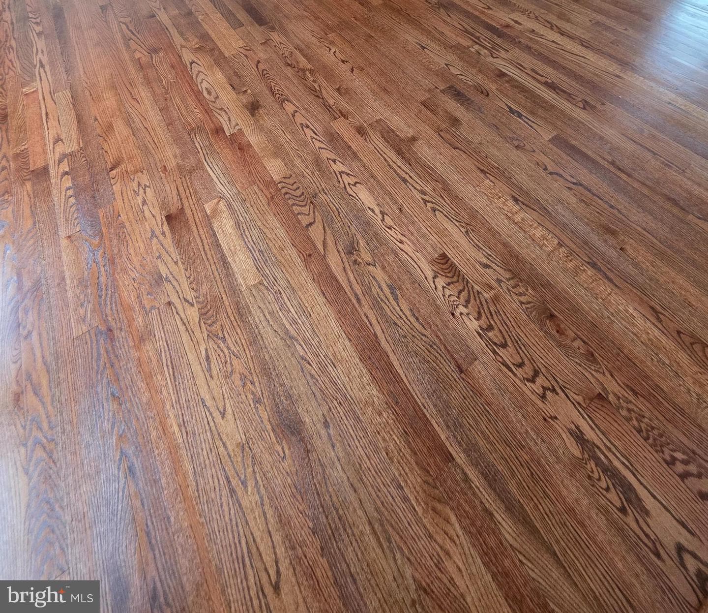 520 E Chesapeake Beach Road photo 6