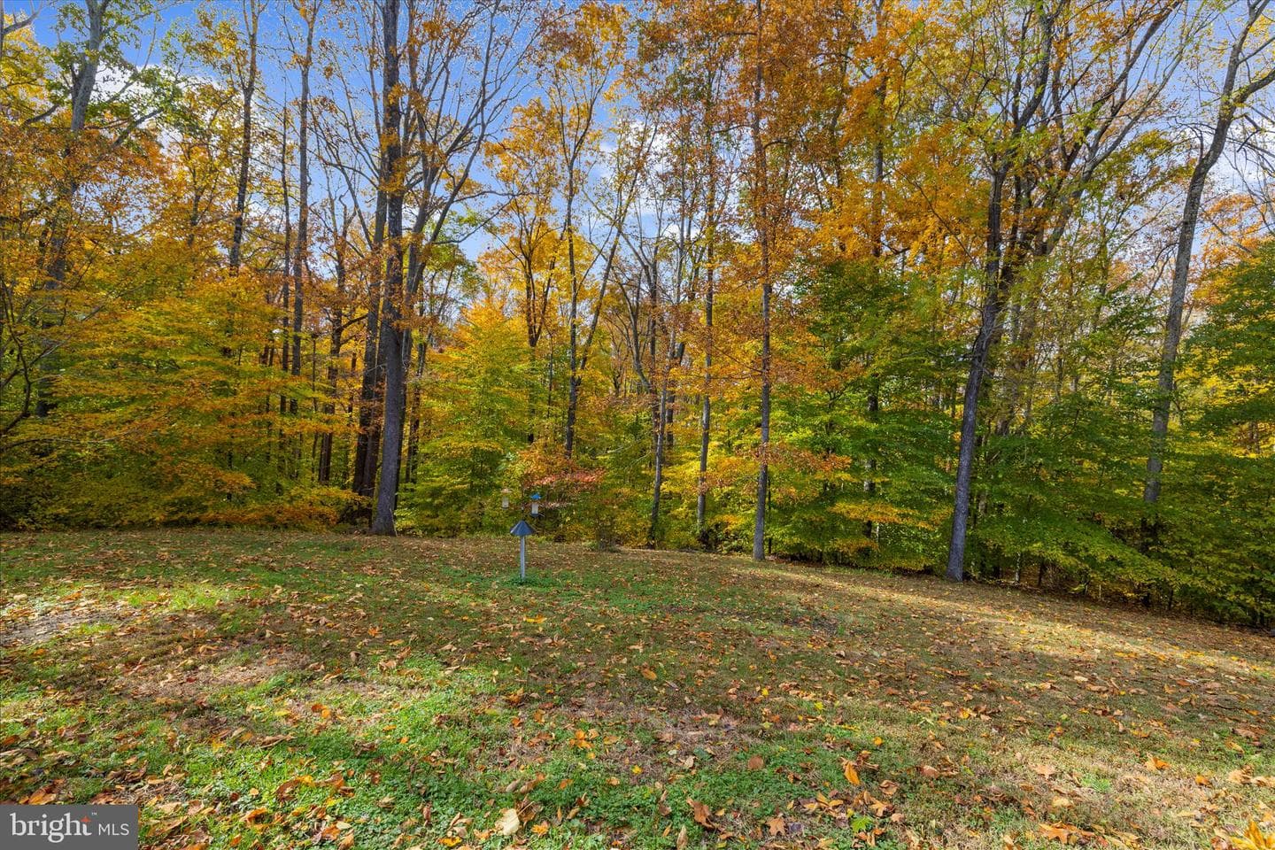 360 Hoile Lane photo 76