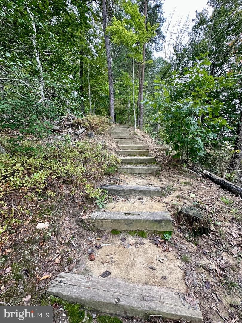 1730 Pinkneys Field Drive photo 74