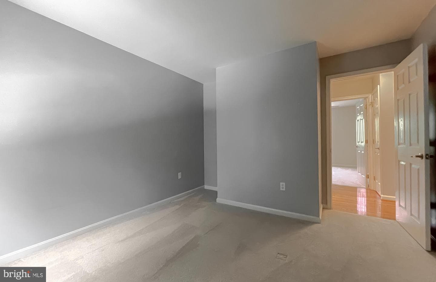 1875 Harvest Grove Lane photo 40