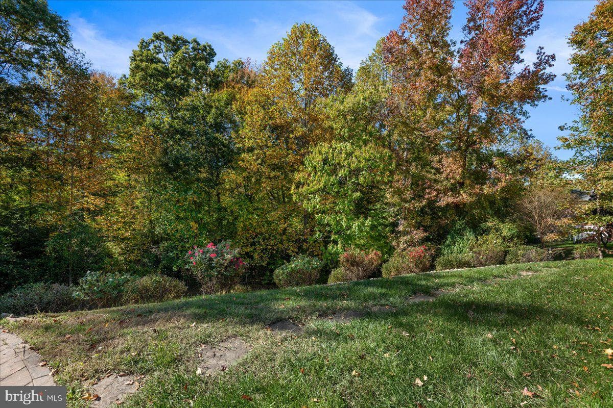 6030 Clairemont Drive photo 106