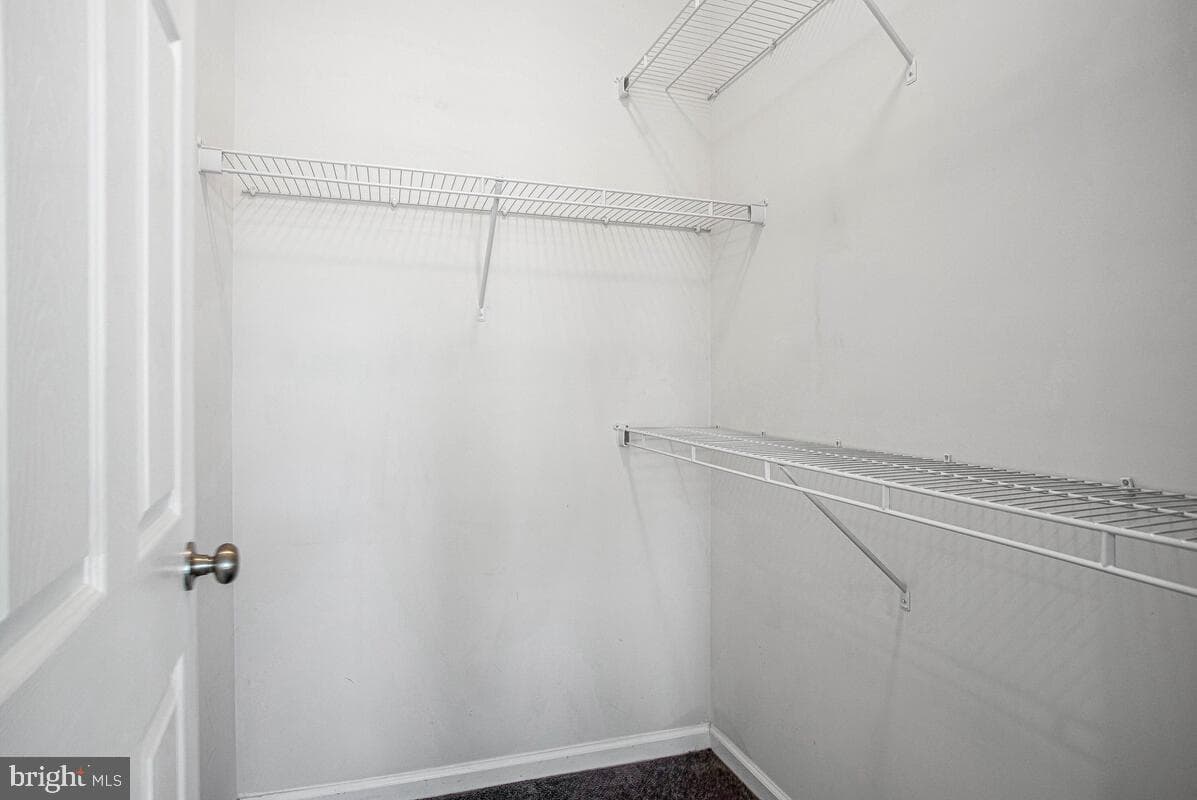 8049 Forest Ridge Drive #3 photo 21