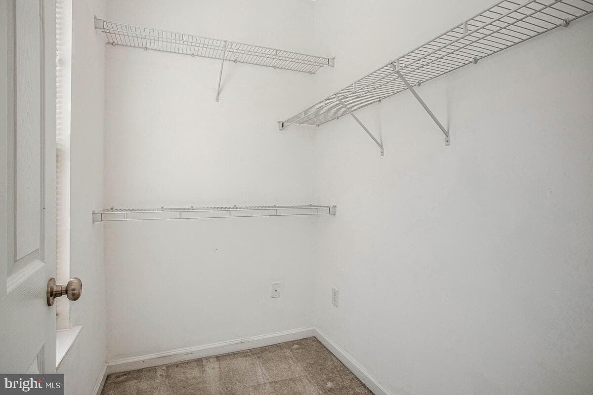8049 Forest Ridge Drive #3 photo 22