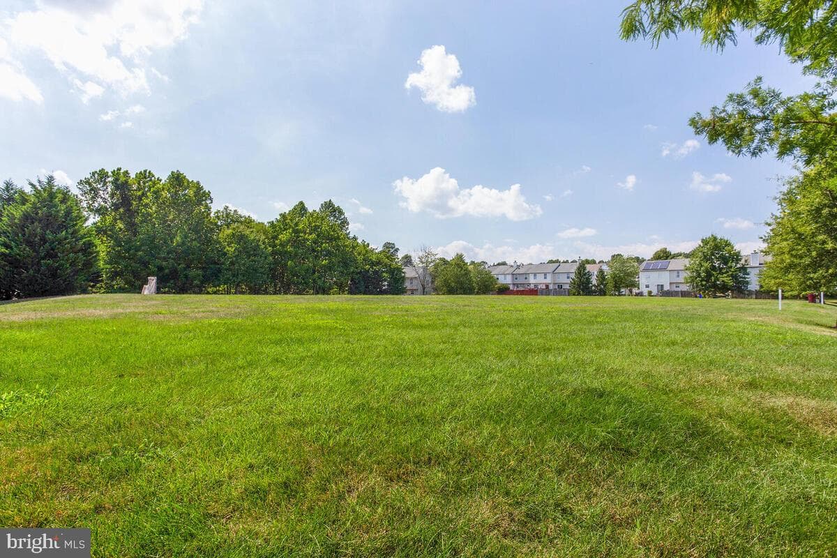 8049 Forest Ridge Drive #3 photo 30