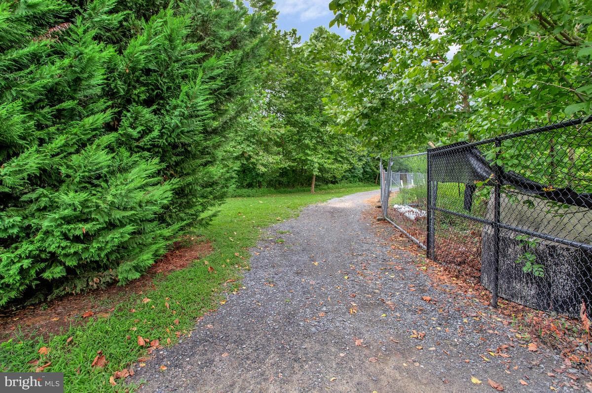 8049 Forest Ridge Drive #3 photo 37