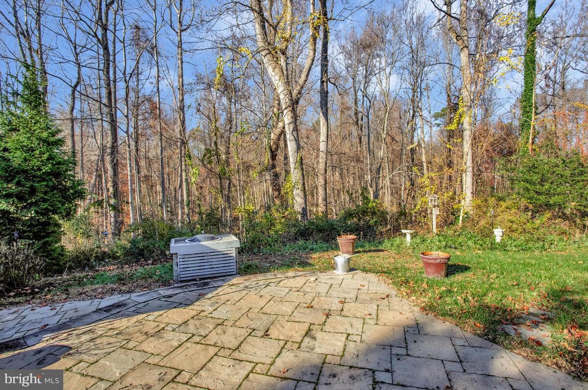 220 Sandhill Court photo 36