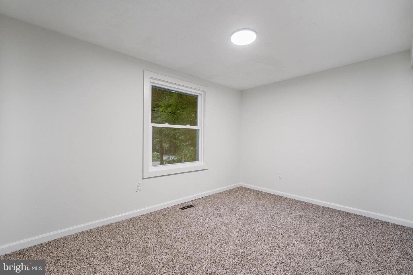 3707 Cassell Boulevard photo 30