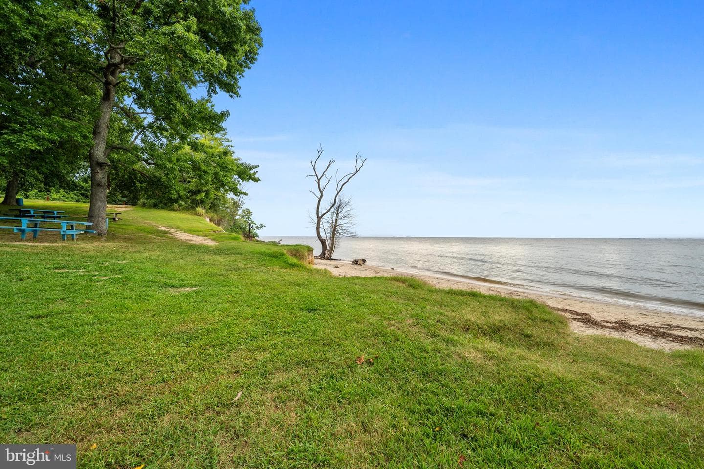 3707 Cassell Boulevard photo 52