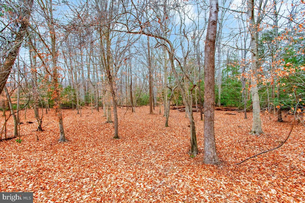 2775 Scientists Cliffs Road photo 47