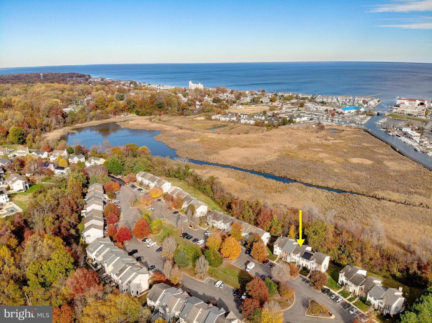 7931 Delores Court photo 5