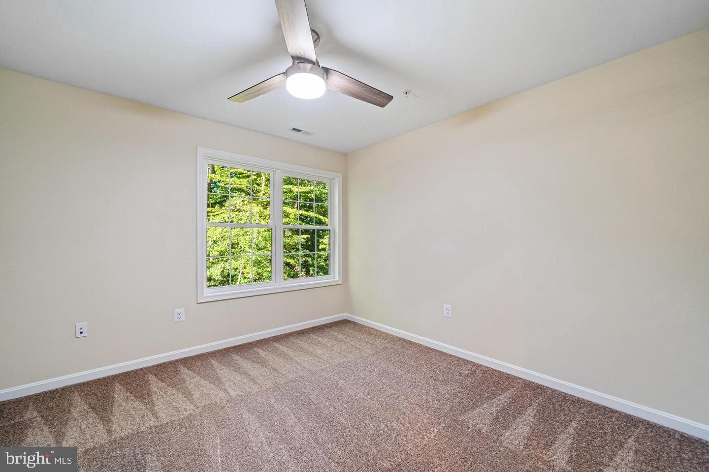298 Cove Drive photo 20