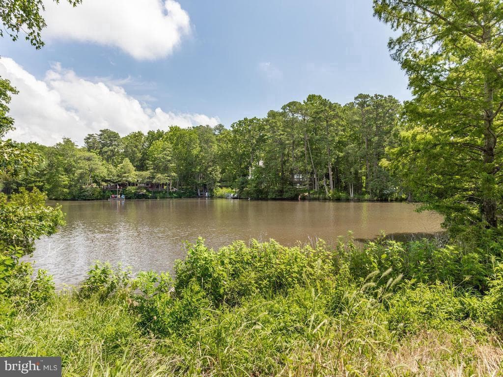 298 Cove Drive photo 27