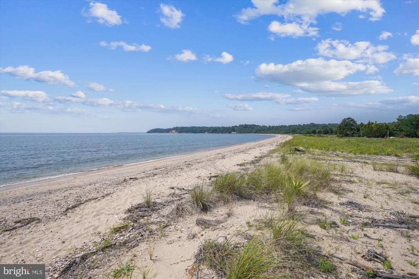 12610 Little Lane photo 67