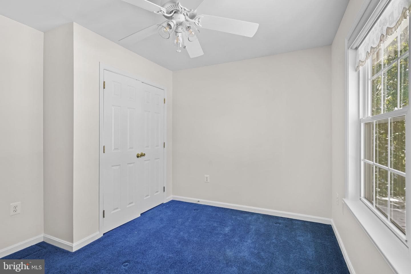 238 Leason Cove Drive photo 17