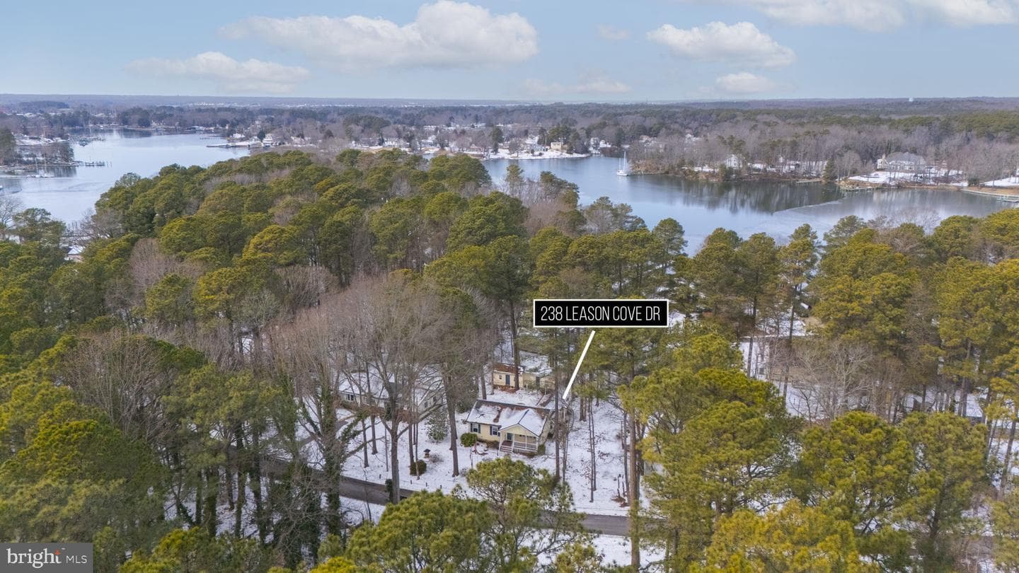 238 Leason Cove Drive photo 2