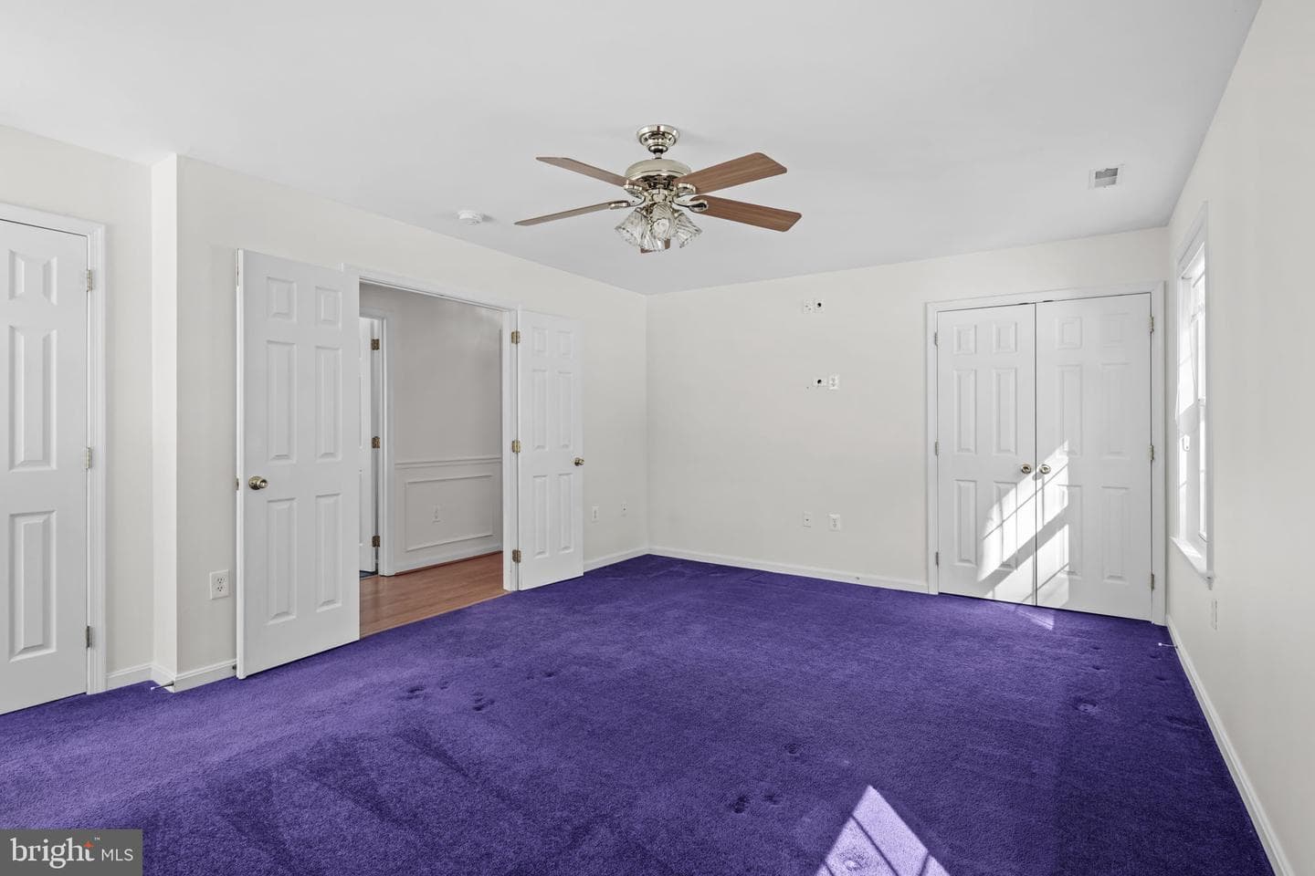238 Leason Cove Drive photo 20