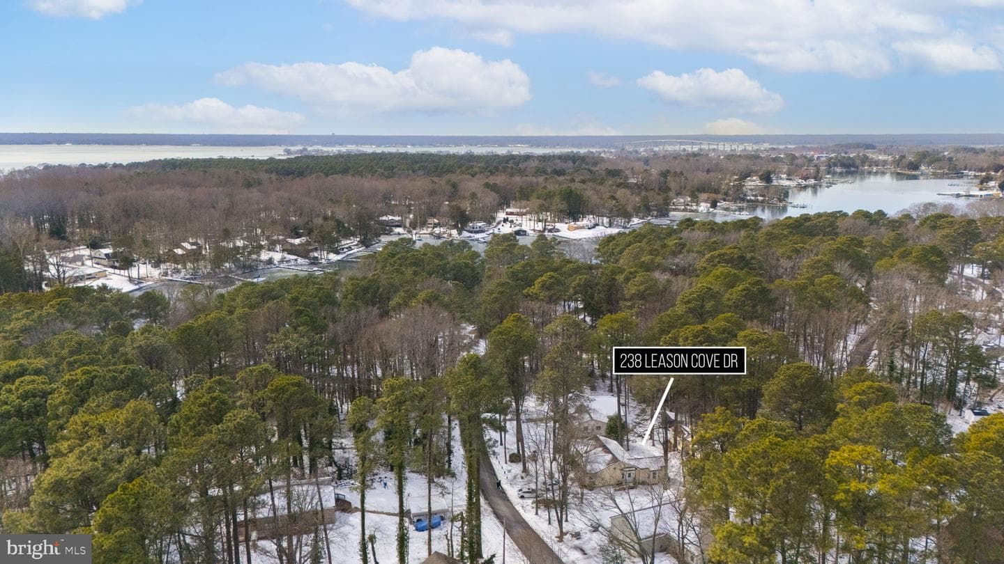 238 Leason Cove Drive photo 33