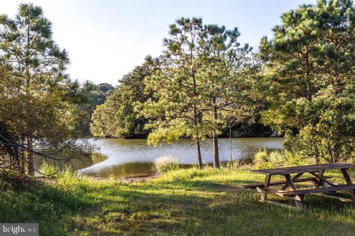 238 Leason Cove Drive photo 38
