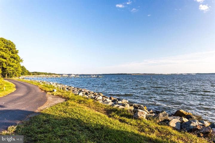 238 Leason Cove Drive photo 39