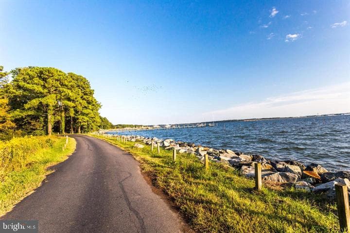 238 Leason Cove Drive photo 40