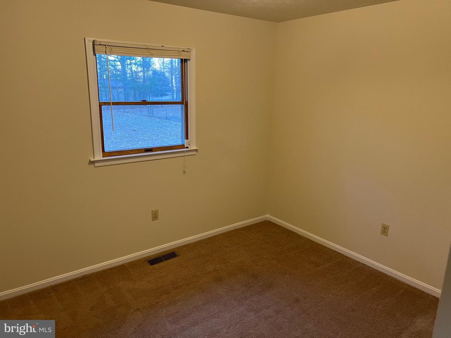 13195 Woodbank Road photo 26