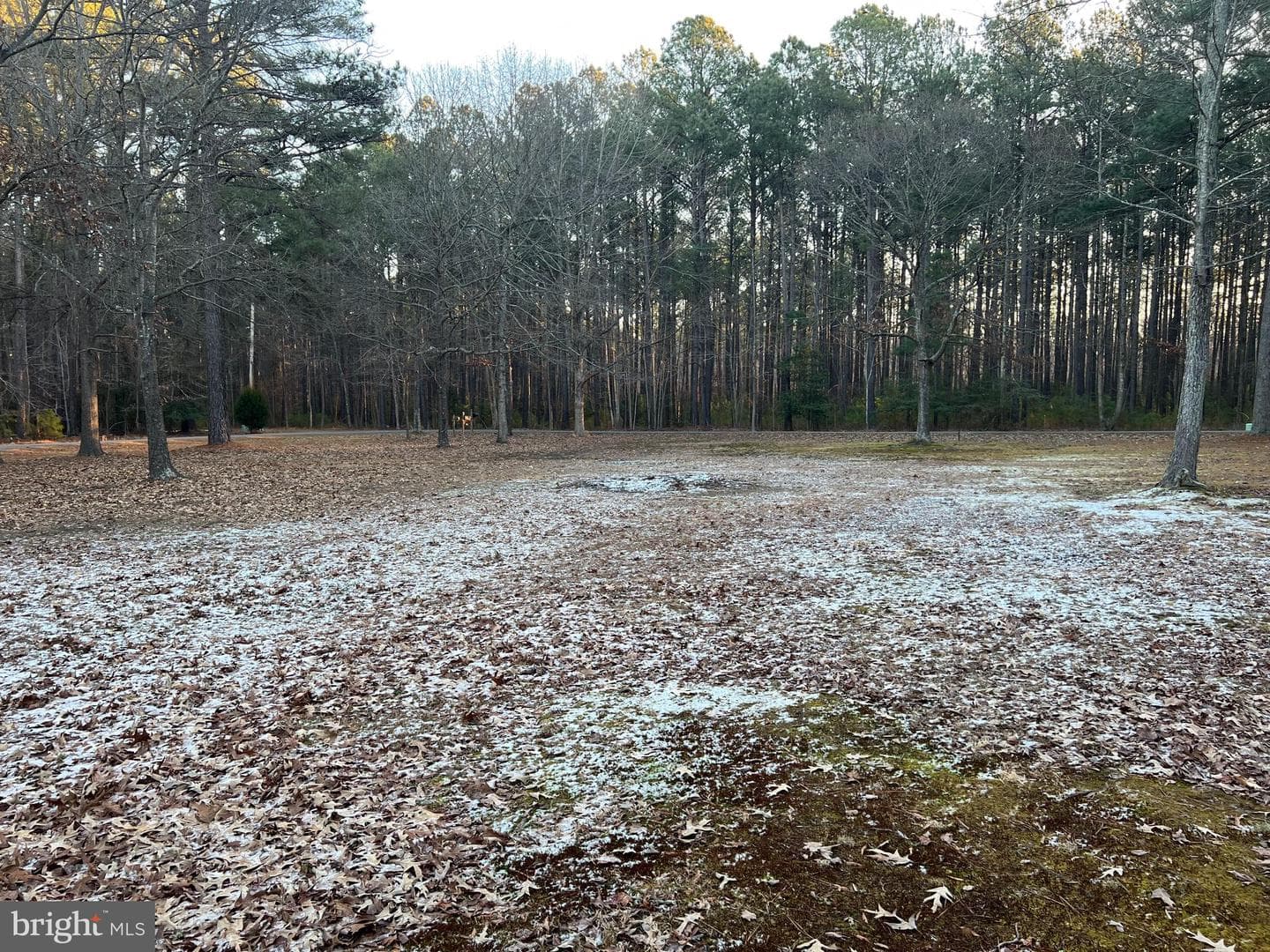 13195 Woodbank Road photo 34
