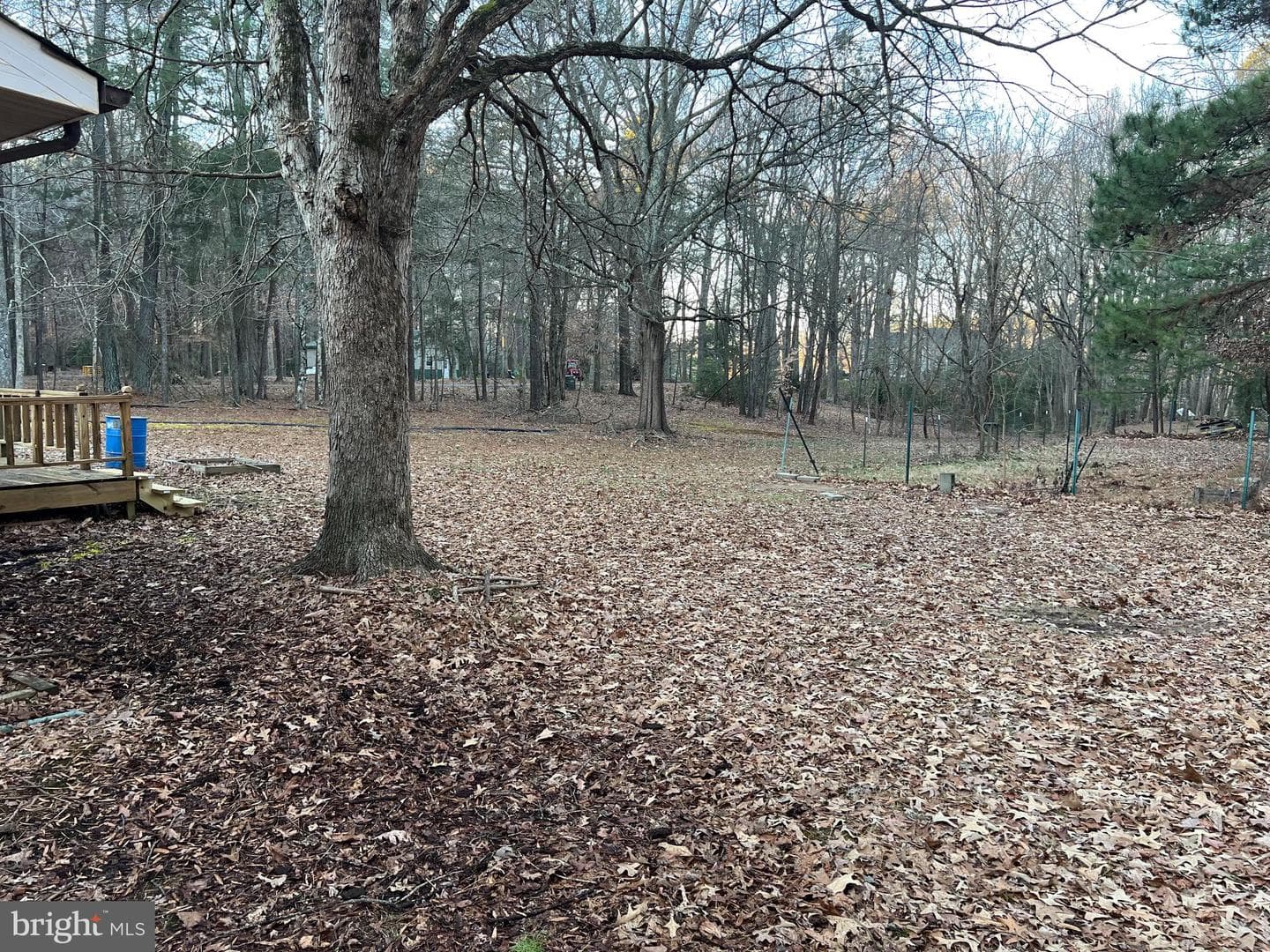 13195 Woodbank Road photo 36