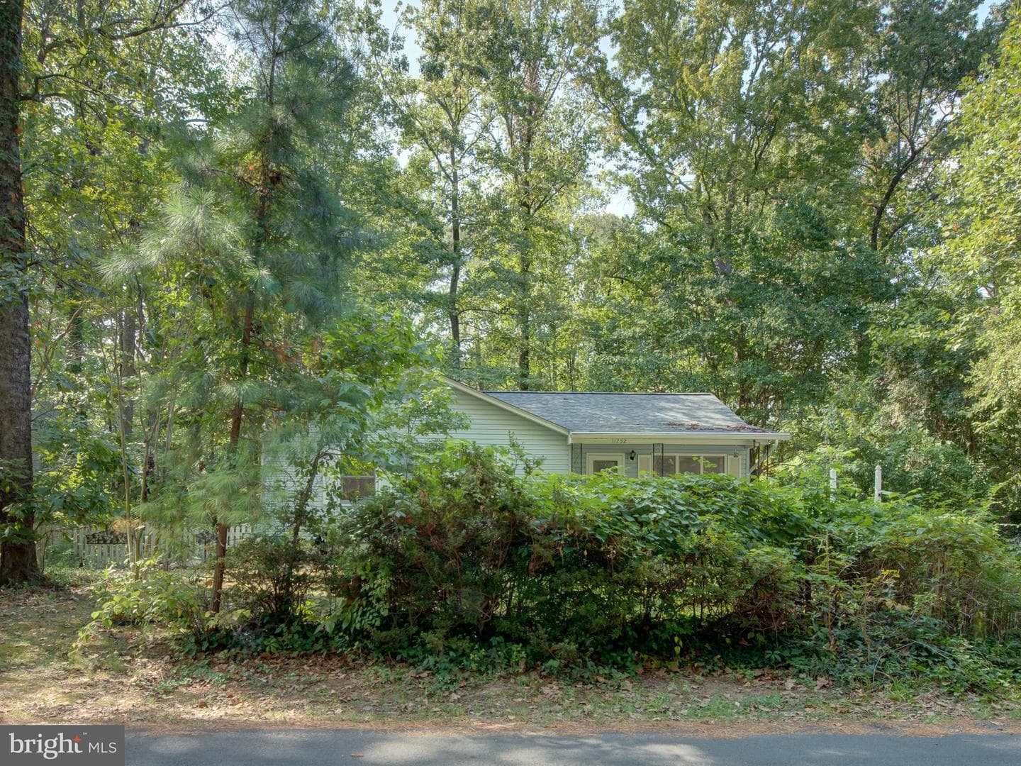 11752 Sidewinder Lane photo 46