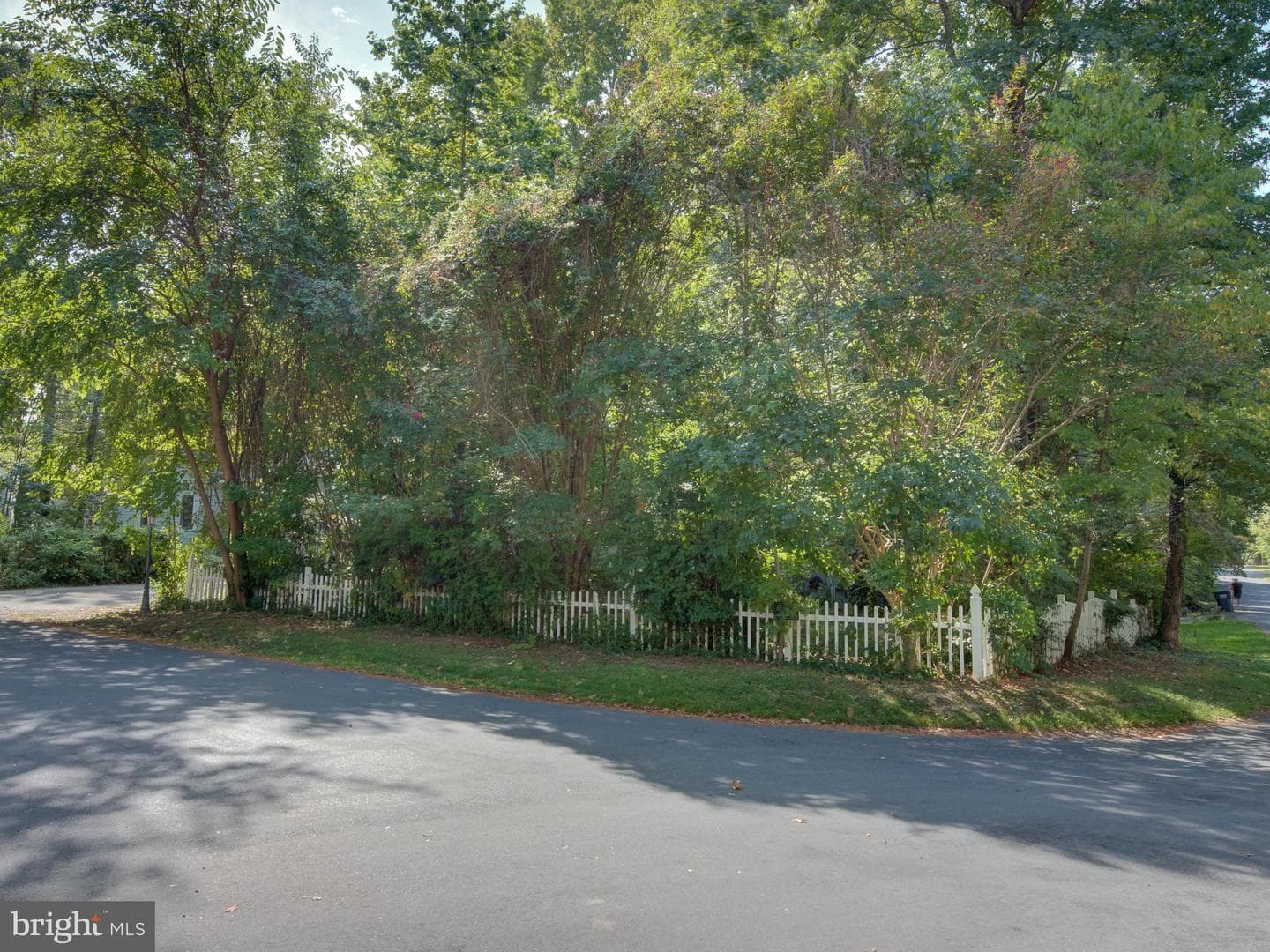 11752 Sidewinder Lane photo 47