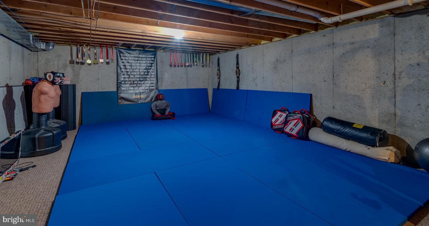 9254 Blue Sky Court photo 45