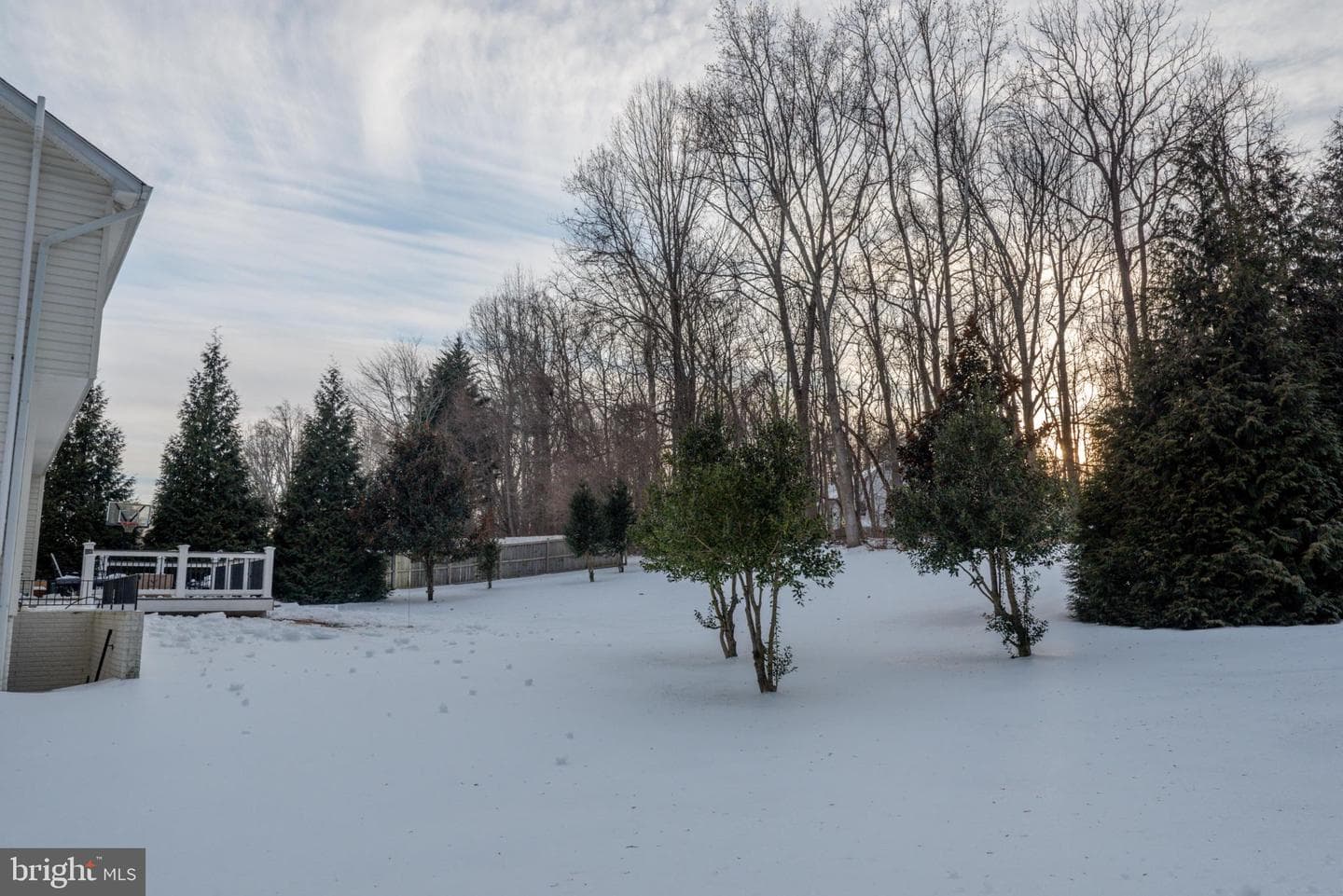 9254 Blue Sky Court photo 6