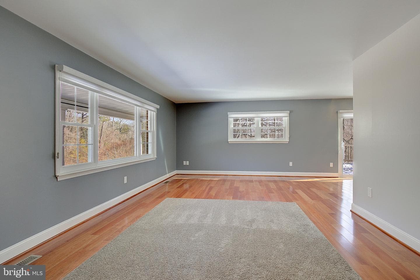 1225 Lake Ridge Drive photo 6