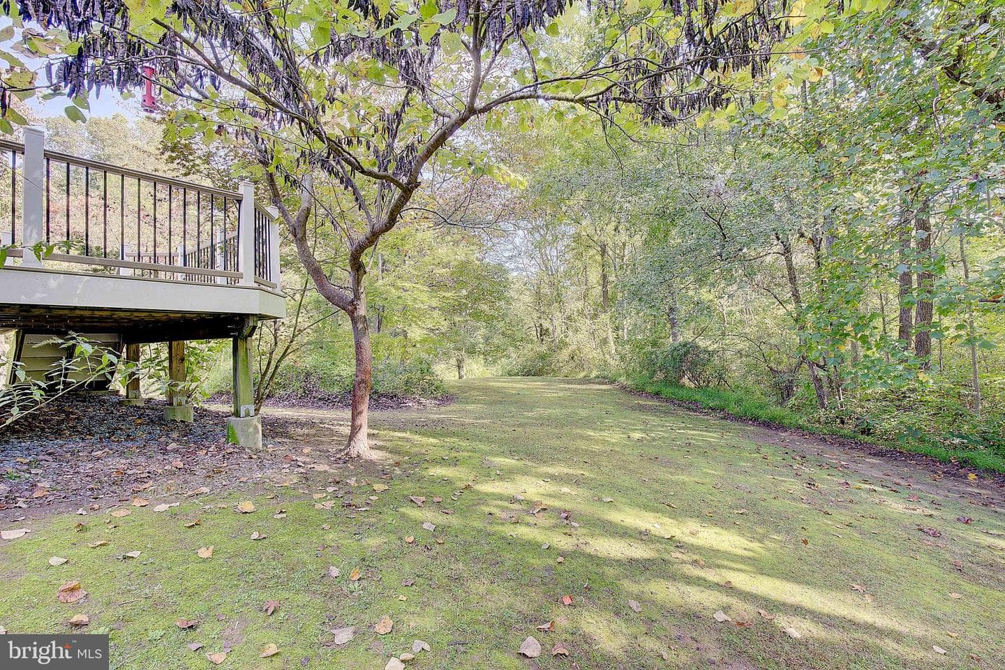 1225 Lake Ridge Drive photo 61