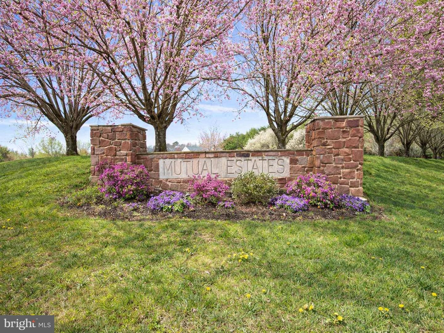 3260 Howard Drive photo 3